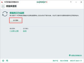 卡巴斯基官方授权平台 一站式安全解决方案选购指南